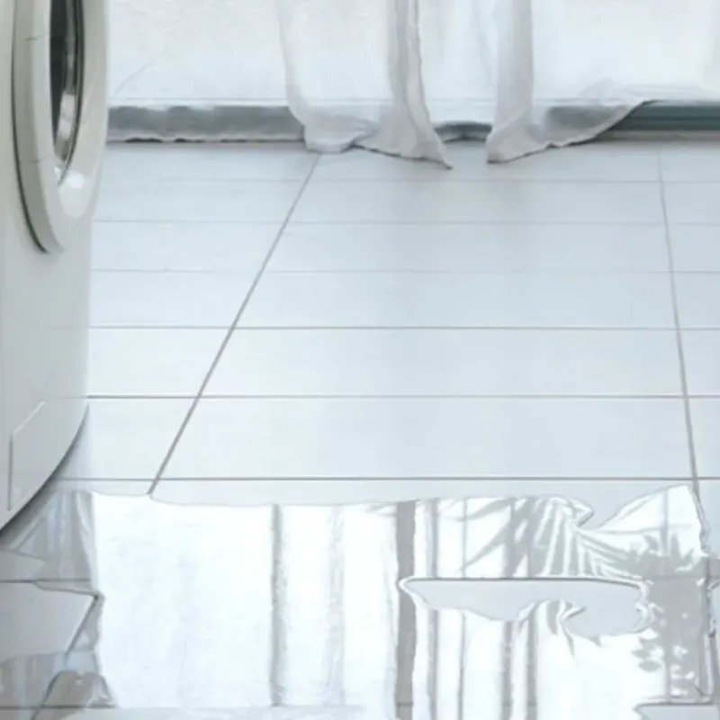 Appliance Leak Cleanup in Bellmead, TX