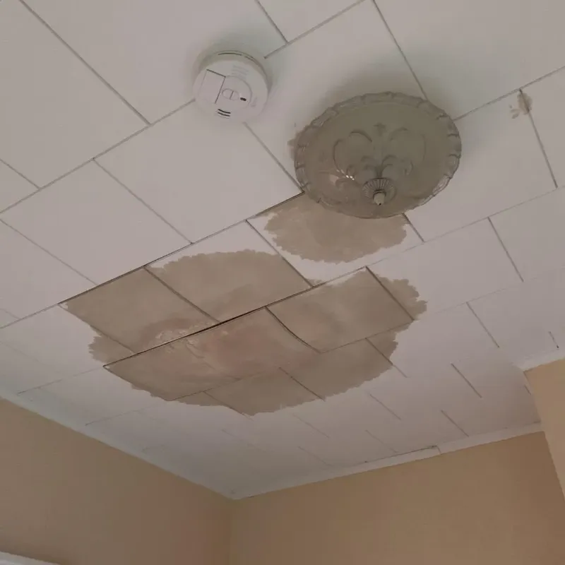 Ceiling Water Damage Repair in Bellmead, TX