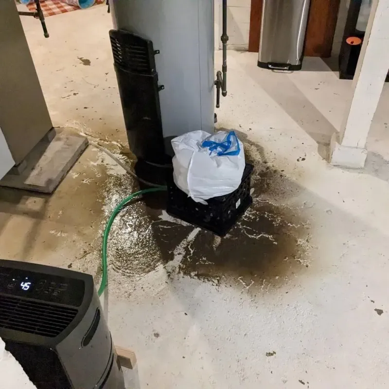 Sewage Backup Cleanup Service in Bellmead, TX